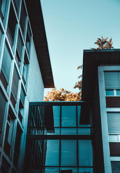 Team
